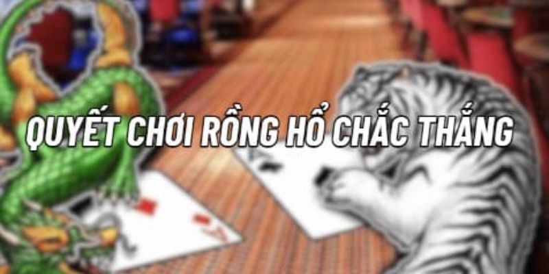 Nên đặt cược ở cửa Rồng và cửa Hổ, tránh đặt cược ở cửa Hòa